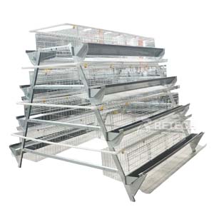 A TYPE CAGE