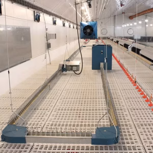 চেইন ফিডার