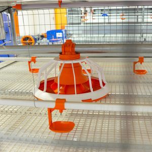 মেল্ ফিডার