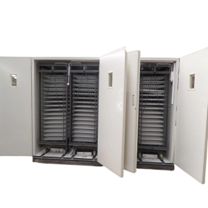 এগ ইনকিউবেটর